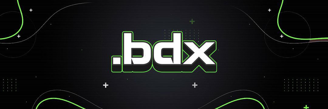 BeldexCoin $BDX Review